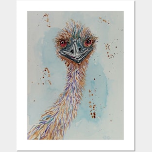 Australian Emu - bird art Posters and Art